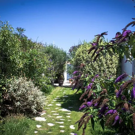 Villa Ile De Re - Foulquier