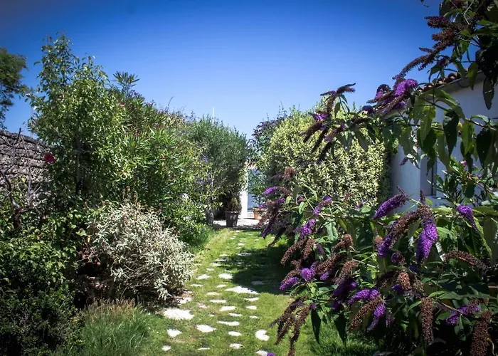 别墅 Ile De Re - Foulquier