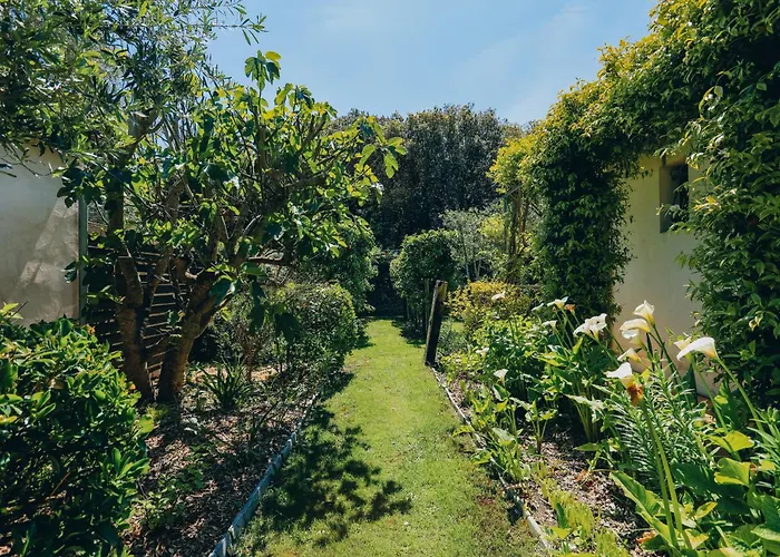 别墅 Ile De Re - Foulquier